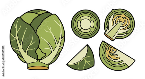 Stylized brussels sprouts composition highlighting their unique structure and