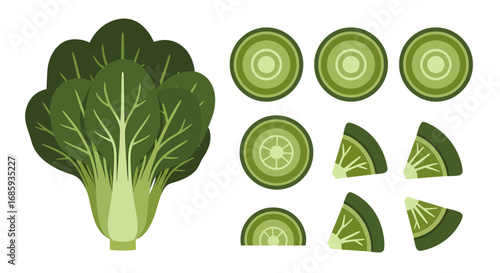 Stylized bok choy illustration with varied preparation styles isolated view
