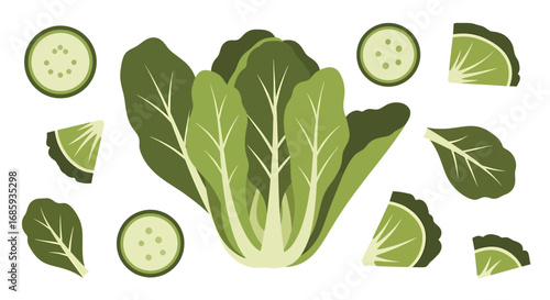 Stylized leafy greens and sliced cucumber arrangement for healthy lifestyle