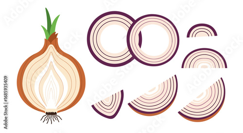 Simplified layered red onion illustration, featuring cross-sections and growth