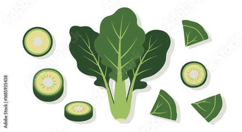 Vibrant digital illustration displaying fresh spinach and kiwi arrangements