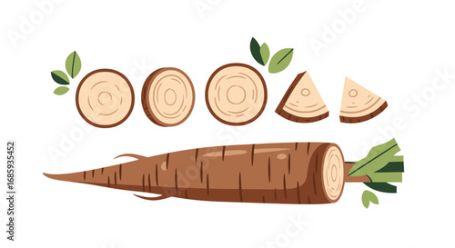 Stylized horseradish root vector illustration featuring slices and leaves