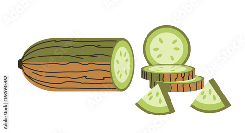 Stylized vegetable marrow illustration depicting halves and cut portions neatly