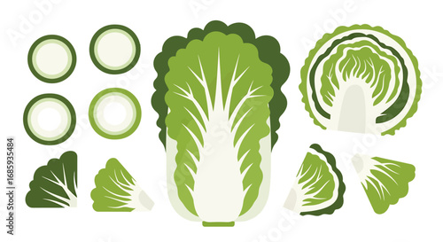 Artistic depiction of napa cabbage, featuring varied forms and textures for