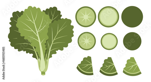 Stylized vector illustration of a mustard green plant with sliced sections