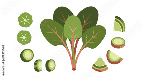 An artistic illustration of spinach with sliced vegetable arranged composition