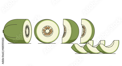 Illustration showcasing the process of slicing a honeydew melon into segments