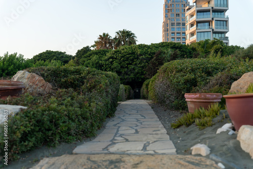 Stone pedestrian path among green bushes and palm trees on the Limassol promenade in Cyprus, with modern buildings in the background.
