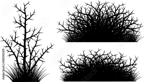 silhouette of a thorny bush with spiky branches and dry grass vector set
