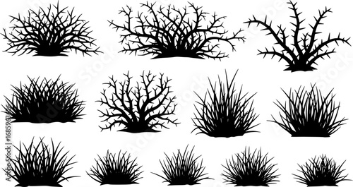 silhouette of a thorny bush with spiky branches and dry grass vector set