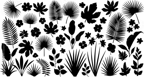 Big set of silhouette tropical black leaves , grass, fig, palm. Flowers and leaves of the jungle. Vector illustration
