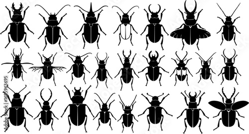 Collection of Silhouette Various Beetle Species vector,