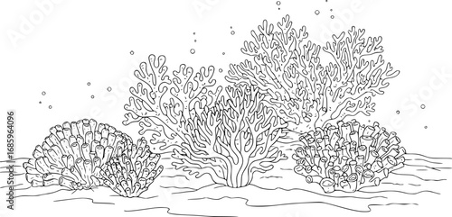 coral reef cad line art vector illustration coral reef outlines, showcasing underwater marine life a