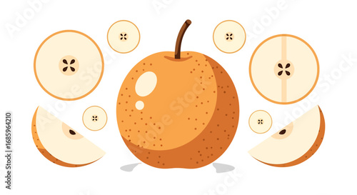 Golden asian pear with cross section view, showcasing its internal structure