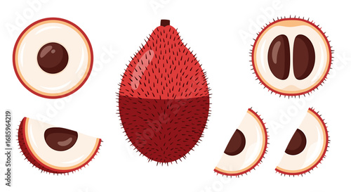 Artistic rendition of Salak fruit variations with textured exterior depiction