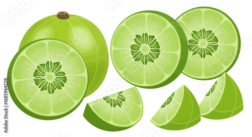 Depiction of stylized green amla fruit segments, representing natural wellness