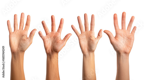Four hands raised, palms facing forward, in a horizontal row