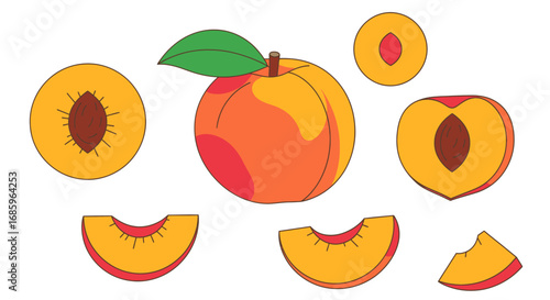 Stylized peach illustration, showcasing whole fruit, slices and cross sections