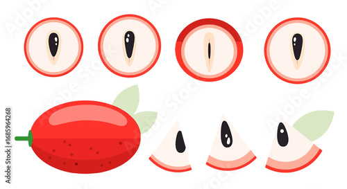Delightful dog rose illustration showcasing various cuts and whole fruit