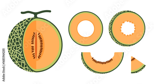 Vivid cantaloupe presentation showcasing slices and cross-sections of