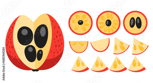 Stylized loquat fruit slices and cross-sections in vibrant graphic