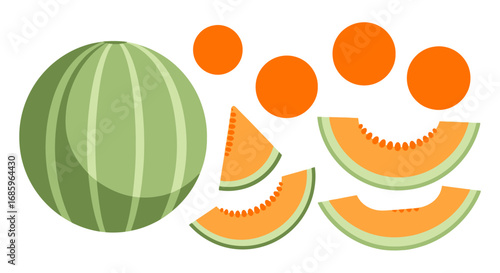 Illustration showing melon slices and parts for summer dessert composition
