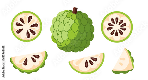 Illustration featuring cherimoya fruit presented whole and in various cut