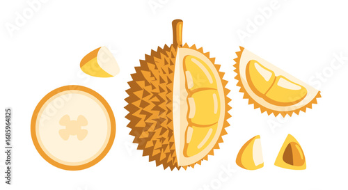 Whimsical durian presentation with sliced segments and cross-section design