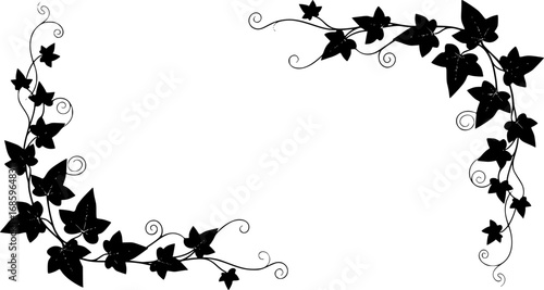 silhouette Ivy flower set, Ivy Vector, climbing ivy creeper branch isolated on white background vector

