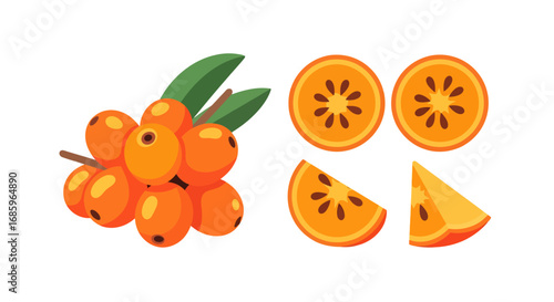 Bright and stylized depiction of vibrant sea buckthorn berries and slices