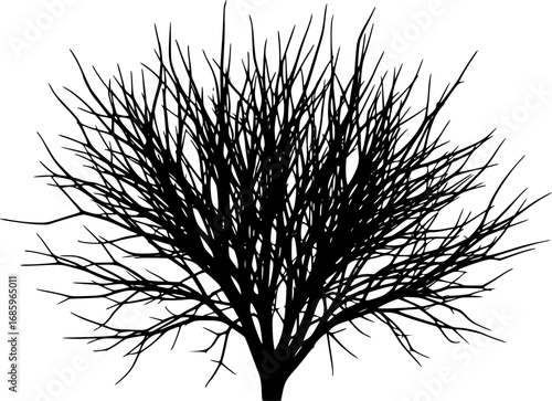silhouette leafless desert shrub with dry branches set. vector
