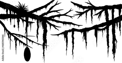 Liana plants silhouette. Tropical climbing creepers branches with moss, rainforest flora flat vector