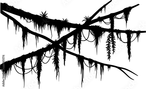 Liana plants silhouette. Tropical climbing creepers branches with moss, rainforest flora flat vector
