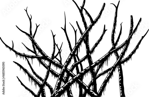 Liana plants silhouette. Tropical climbing creepers branches with moss, rainforest flora flat vector