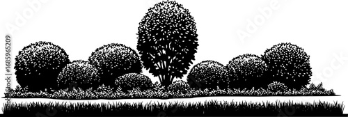 set of shrubs line cad, Ground cover. Illustration for elevation architectural element, side view, grass section.