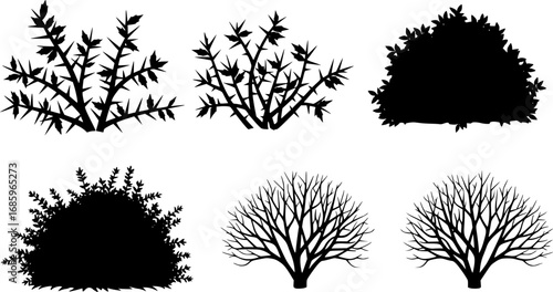 set of bush thorny plant and bare bush, Vector illustration
