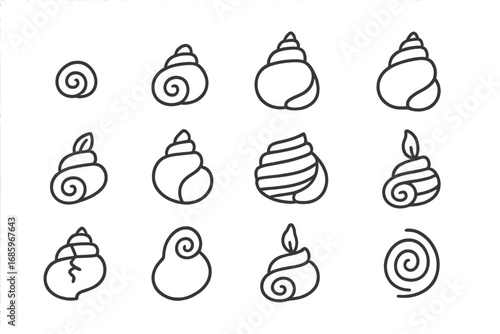 Shell Growth Icons. Line style icons of shell growth stages: young shell, growing shell, mature shell, aged shell; shell forming,