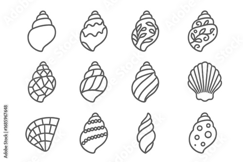Decorative Shell Icons. Line style icons of decorative shells: polished shell, carved shell, engraved shell, painted shell; inlaid