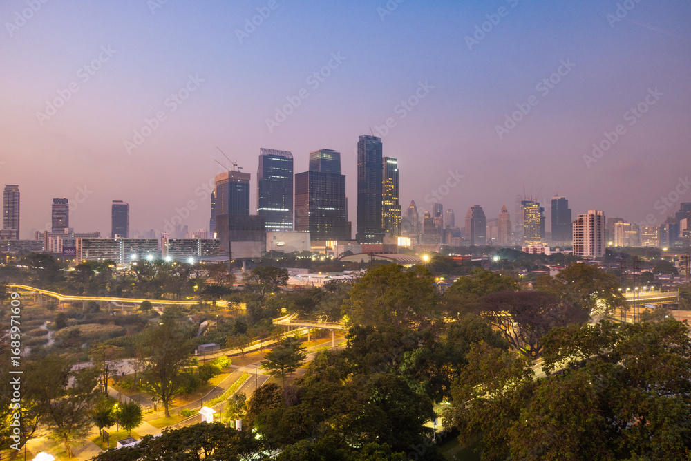 Fototapeta premium Bangkok park and skyline