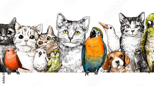 A charming collection of hand drawn pets together.