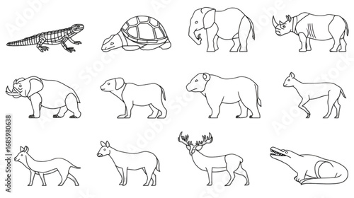 Set of Various Wild and Prehistoric Animal Line Drawings.
