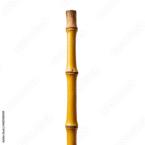 Dry yellow bamboo stalk isolated on transparent background