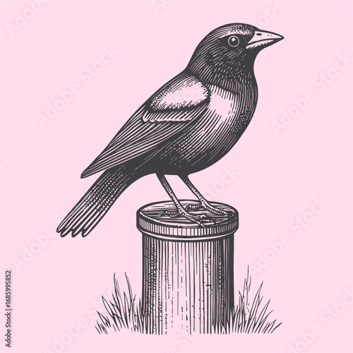 Vintage Illustration of Bird Standing on Post with Grass Background