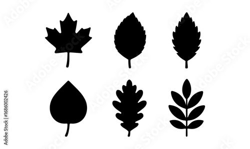 Silhouette collection of various leaf shapes for seasonal designs