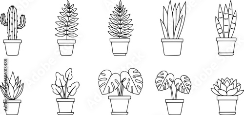 set of potted plant indoor outline icon vector
