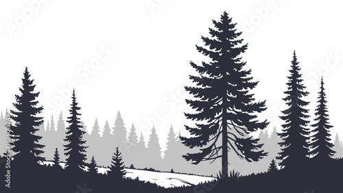 Silhouette of Evergreen Trees in Forest Landscape Nature Illustration Winter Scene Conifer Trees Graphic Design Element.