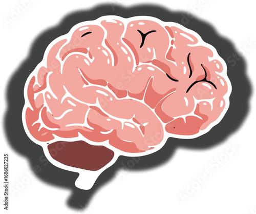 Human brain depicted with pink and red hues floating with a dark shadow, symbolizing intelligence, thought, and the complexity of the mind.