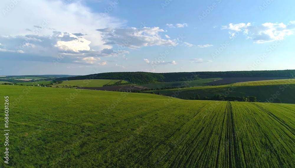 Obraz premium Expansive green fields stretch across rolling hills under a partly cloudy sky, showcasing a serene and peaceful rural landscape.