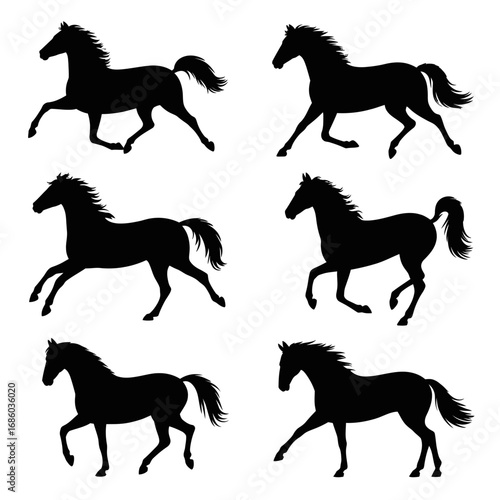 Wild Horse Vector  Minimal Silhouette Animal Design