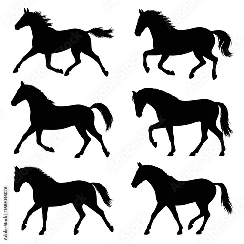 Wild Horse Vector  Minimal Silhouette Animal Design